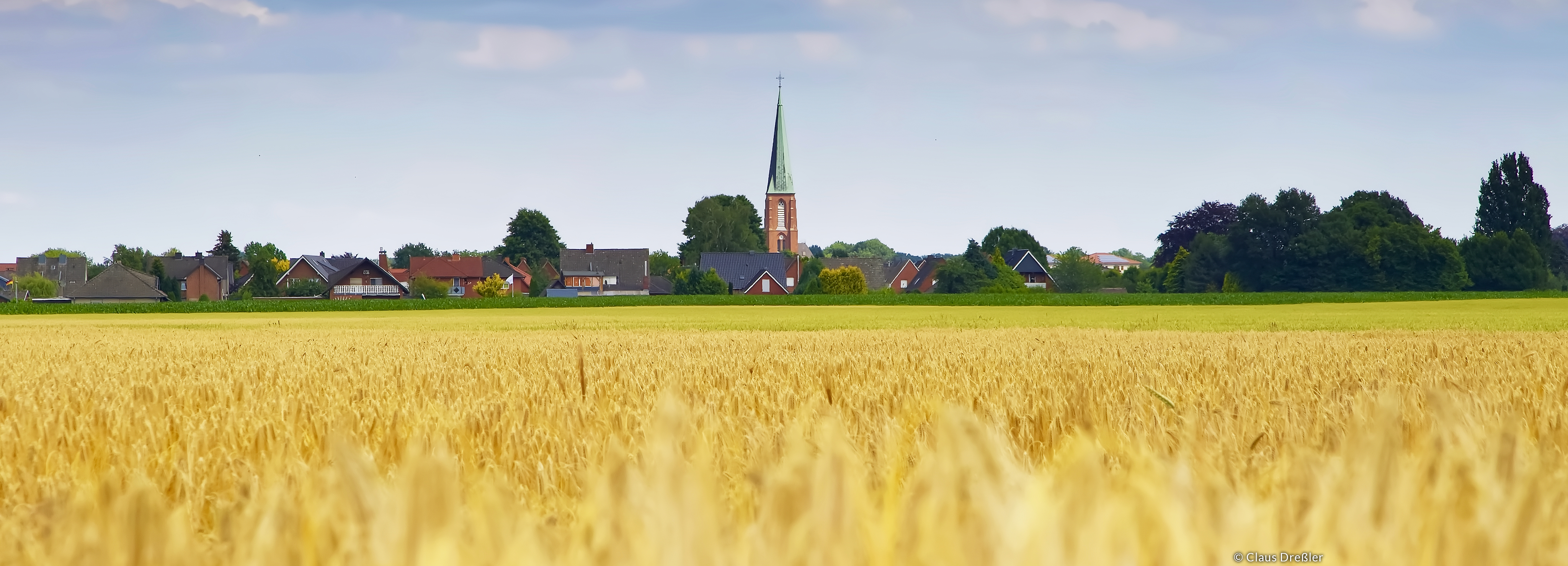 Ein Getreidefeld im Vordergrund mit dem Dinklager Panorama im Hintergrund